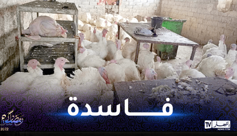 وهران: إكتشاف مذبح سري و حجز أكثر من قنطارين من اللحوم البيضاء