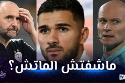 بسبب بلماضي.. لاعب الخضر يتهجم على حكم فرنسي مشهور !