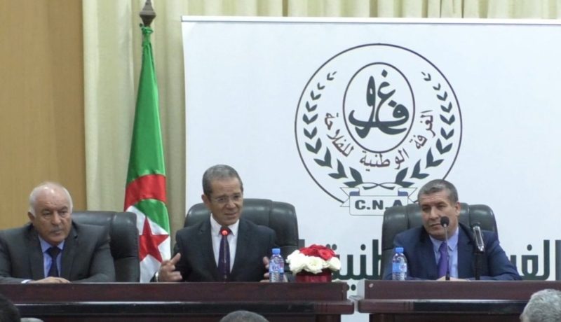 تنصيب محمد يزيد حمبلي على رأس الغرفة الوطنية للفلاحة