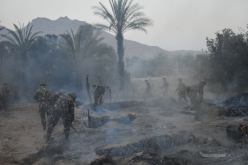 الجيش يتدخل لإخماد الحرائق التي اندلعت بواحة تيليمزايس بجانت