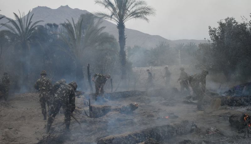 الجيش يتدخل لإخماد الحرائق التي اندلعت بواحة تيليمزايس بجانت