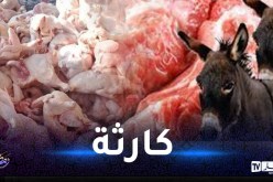 تيارت: توقيف 4 أشخاص وحجز دجاج “جيفة” وعظام حمار مسلوخ