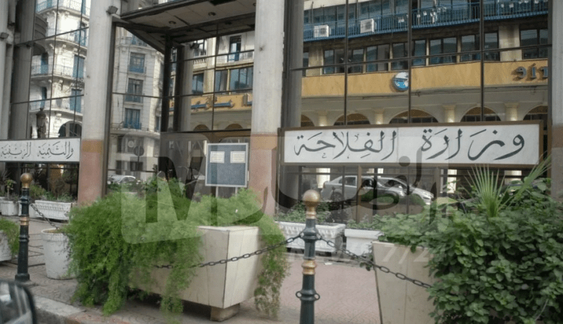 الحكومة: مكافحة التجارة غير المشروعة لأنواع الحيوانات والنباتات المهددة بالانقراض