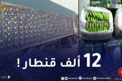 الشرطة تداهم مخازن المضاربة وتحجز أكثر من 12 ألف قنطار موز في 4 ولايات