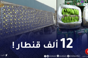 الشرطة تداهم مخازن المضاربة وتحجز أكثر من 12 ألف قنطار موز في 4 ولايات