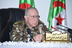 الفريق شنقريحة: الجزائر تتوفر على كل مقومات التجدد والانطلاق