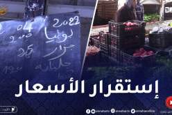 بعد الإرتفاع الكبير سابقا.. أسعار الخضر تستقر في أسواق الجملة