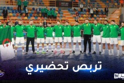 المنتخب الوطني لكرة اليد يدخل تربصا تحضيريا بمصر