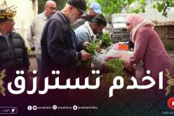 فكرة: مشروع تاع نهار اليوم راس مالو 1000دج ..بالمعدنوس والحشيش دخلو فايدة الله ابارك