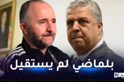 عمارة: “بلماضي لا يزال مدرب المنتخب وما يربطنا به أكثر من مجرد عقد مادي”