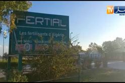 سوناطراك تسترجع الأسهم التي كان يمتلكها مجمع حداد  في شركة” فرتيال”