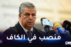 الإتحاد الإفريقي يعين عمارة عضوا في اللجنة المالية