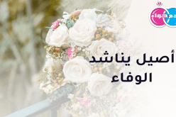 قالمي رصين يريدها موظفة محترمة