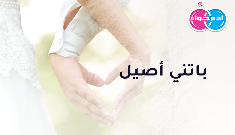 باتني أصيل يريدك طيبة