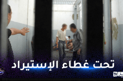 إلتماس 10 سنوات سجنا لشاب أنشأ 3 شركات وهمية هربت الملايير الى الإمارات