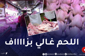 أول أيام رمضان.. اللحوم الحمراء تقارب 1900 دج والبيضاء تتجاوز 400 دج