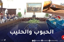 فوضى شعبتي الحبوب والحليب.. هل تقترب من الإنتهاء ؟