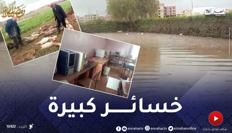 باتنة: فيضـ.انات بمنطقة “عين جاسر”.. غرق محاصيل زراعية ومدارس ومنازل