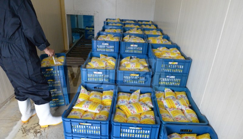 مقراني: الشروع في تعديل مرسوم تحديد أسعار الحليب