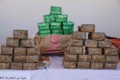 صاحبا مزرعتين يقودان شبكة من 13 شخصا للمتاجرة في “الزطلة” المغربية 