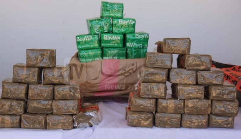 صاحبا مزرعتين يقودان شبكة من 13 شخصا للمتاجرة في “الزطلة” المغربية