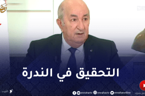 تبون: المفتشية العامة للرئاسة تقوم بالتحقيق في مشكل ندرة المواد الأساسية