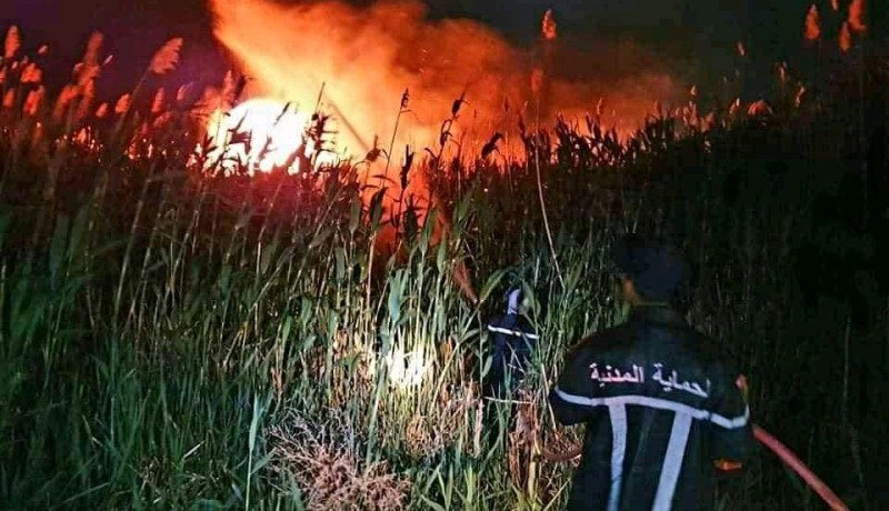 البيض: السيطرة على حريق منطقة الزريديب دون خسائر بشرية