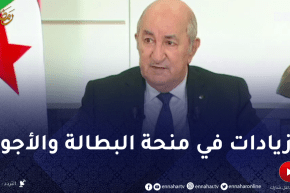 رئيس الجمهورية: ستكون هناك زيادات في علاوة البطالة والأجور نهاية السنة