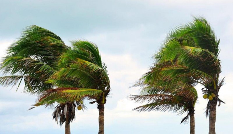 رياح قوية تتعدى 50 كلم/سا بهذه المناطق