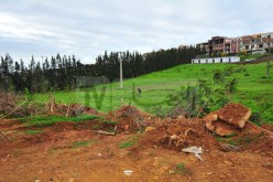 تسوية 1.418 قطعة عقار فلاحي خصصت لإنجاز مشاريع سكنية عمومية