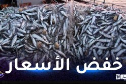 وزارة الصيد البحري: إنتاج السردين إرتفع بـ 30 ألف طن سنة 2021