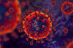 خبير: هكذا سينتهي وباء كورونا