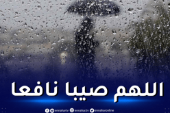 أمطار رعدية غزيرة على هذه الولايات إبتداءً من اليوم