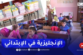 تربية: إدخال اللغة الإنجليزية بداية من السنة الثالثة ابتدائي.. ضمن أولويات الإصلاح