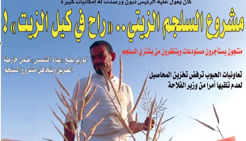 مشروع السلجم الزيتي.. “راح في كيل الزيت”