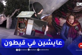 صرخة: خالتي كلثوم وإبنتها تفترشان الشارع وسط الوحوش البشرية