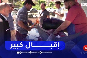 شاهد إقبال كبير على شراء سمكة “التونة” في إنتظار إنخفاض اسعارها