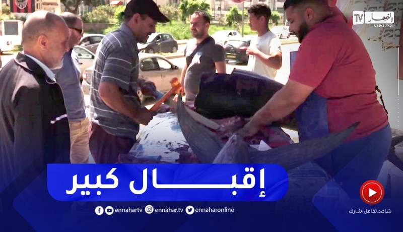 شاهد إقبال كبير على شراء سمكة “التونة” في إنتظار إنخفاض اسعارها