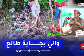 طالع هابط: بعد بث الحالة الكارثية لمقام الشهيد في قرية أفتيس.. والي سطيف يتدخل