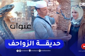 بدون عنوان: عزيز.. أربعيني يروض الافاعي السامة ليحول منزله لحديقة الزواحف