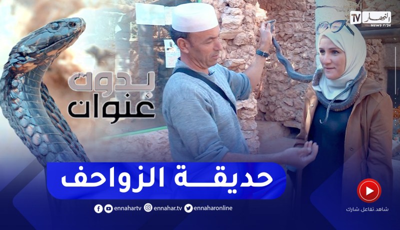 بدون عنوان: عزيز.. أربعيني يروض الافاعي السامة ليحول منزله لحديقة الزواحف