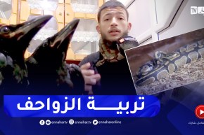 ترويض الزواحف وتربيتها.. هواية عبد الله الذي حول بيته إلى حديقة حيوانات