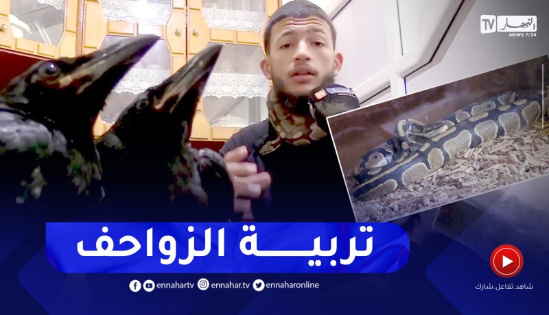 ترويض الزواحف وتربيتها.. هواية عبد الله الذي حول بيته إلى حديقة حيوانات
