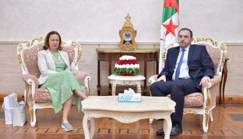 رئيس لجنة الشؤون الخارجية يبحث تعزيز التعاون مع سفيرة جمهورية التشيك