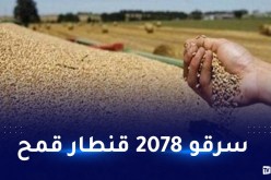 بالتفاصيل.. هكذا تم اختلاس أزيد من مليار و200 مليون سنتيم من القمح الصلب