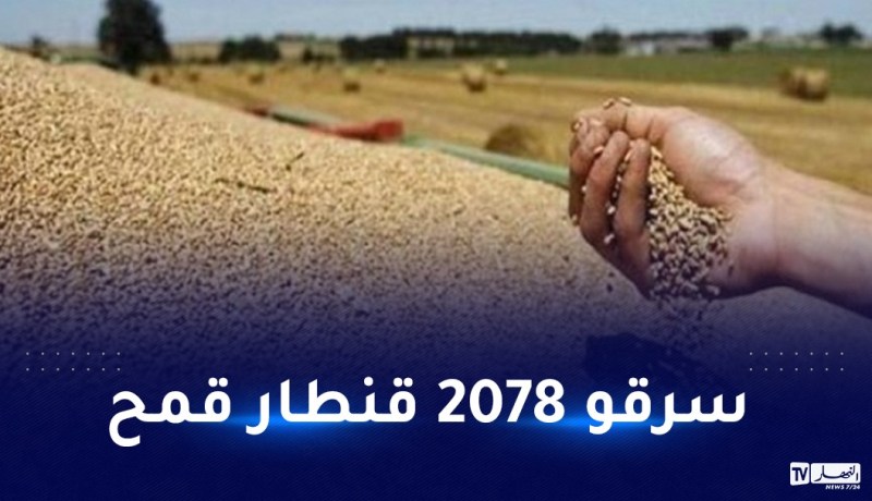 بالتفاصيل.. هكذا تم اختلاس أزيد من مليار و200 مليون سنتيم من القمح الصلب