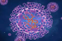 خبيرة: جدري القردة لن يصبح وباءً عالميا