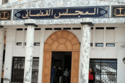 3 سنوات حبسا نافذا لنجل عمار سعيداني في قضية فساد بميناء سكيكدة