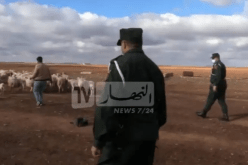 المسيلة.. تفكيك عصابة لسرقة المواشي  واسترجاع 26 رأسا من الغنم