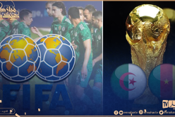 الفيفا تصدر قرارها بخصوص المباراة الفاصلة بين الجزائر والكاميرون